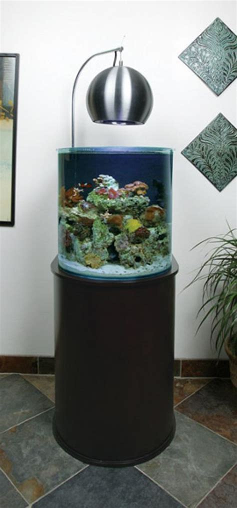 Paradise Pets: Current USA Cardiff 24gal Aquarium