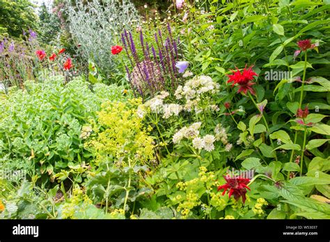 A Quintessential English Cottage Garden Stock Photo Alamy