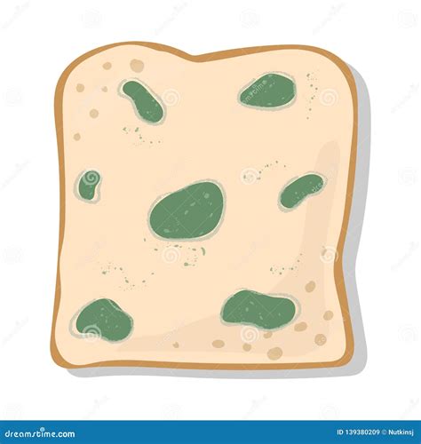 Mold On Bread Green Stock Vector Illustration Of Slice 139380209