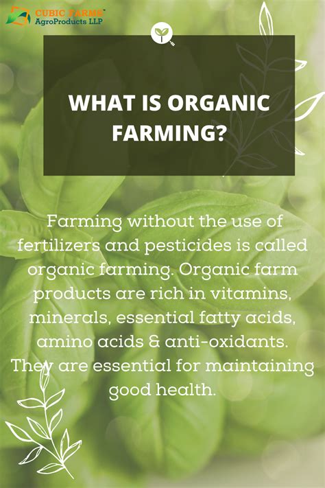 5 Shocking Disadvantages Of Organic Farming Artofit