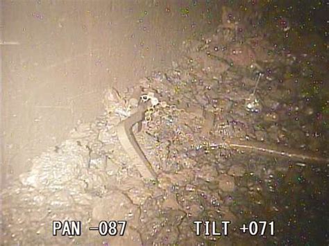 Melted nuclear fuel seen inside second Fukushima reactor