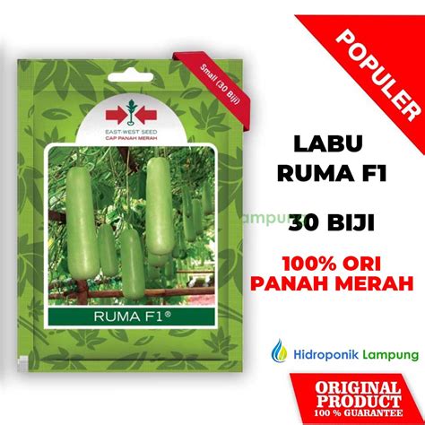 Jual Benih Bibit Labu Air Ruma F Sp Cap Panah Merah Isi Benih