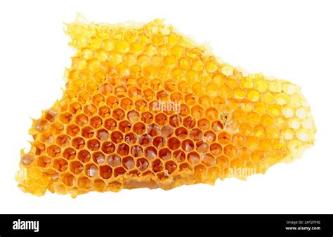 Honey Bee Wax Honeycomb Cells With Honey Isolated On A White Background