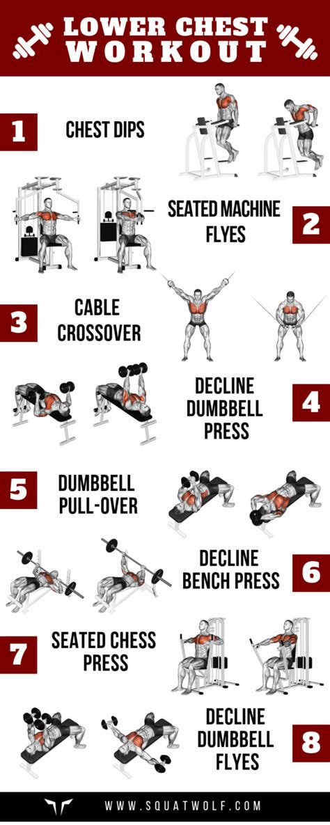 8 Lower Chest Workouts for Defined Pecs - SQUAT WOLF Chest And Tricep ...