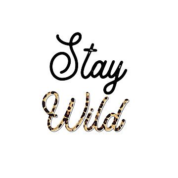 Embrace Your Wild Side Inspirational Calligraphy And Hand Lettering