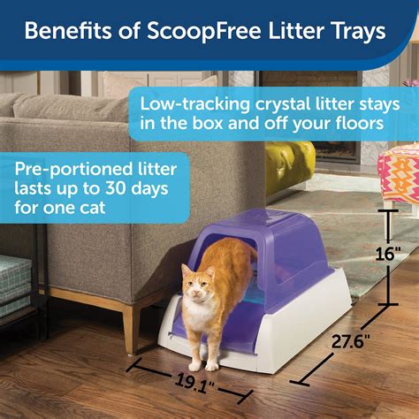 ScoopFree Ultra Automatic Cat Litter Box Purple Chewy