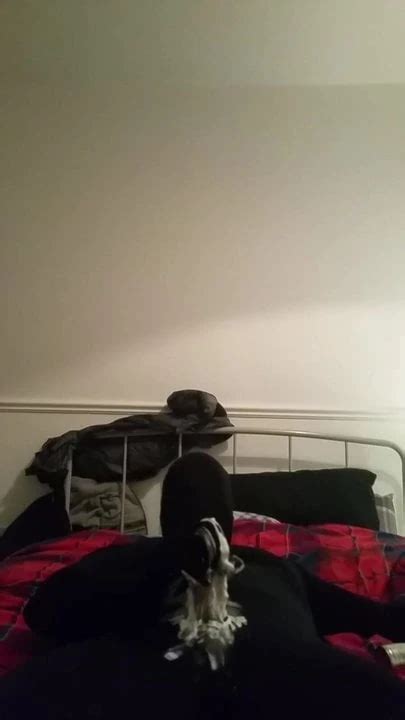 Zentai Gay Amateur Amateur Porn XHamster