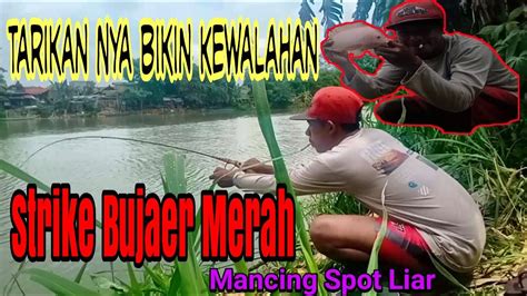 Spot Liar Strike Mujaer Merah Tarikan Nya Bikin Kewalahan Youtube