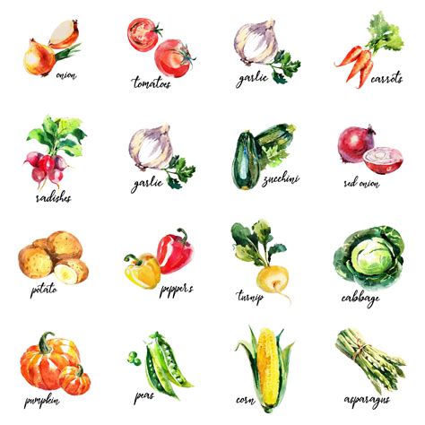 16 Free Watercolour Vegetable Kitchen Printables | Vegetable painting ...