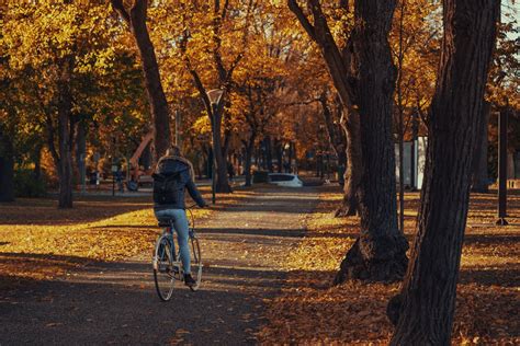 Foto De Stock Gratuita Sobre Arboles Bici Bicicleta Caer Ciclismo