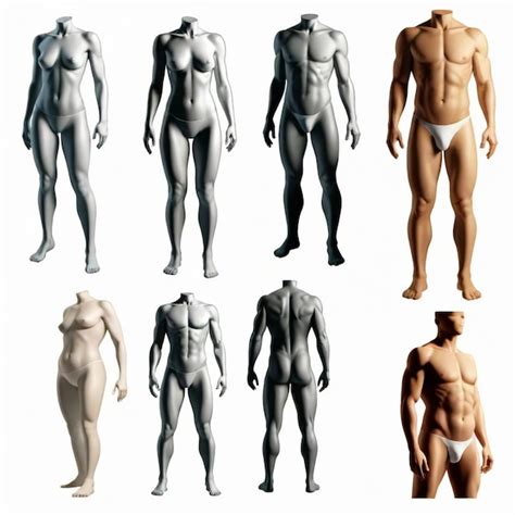 A Collection Of Naked Men And Women From The Past Premium AI