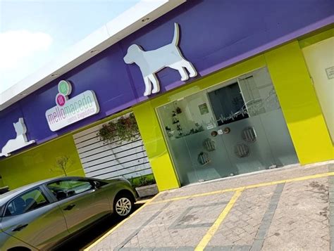 Mello Macedo Centro De Diagnóstico Pet - Veterinário com raio x - Mello Macedo