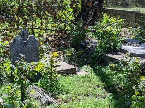 Miller Cemetery In Tennessee Find A Grave Cemetery