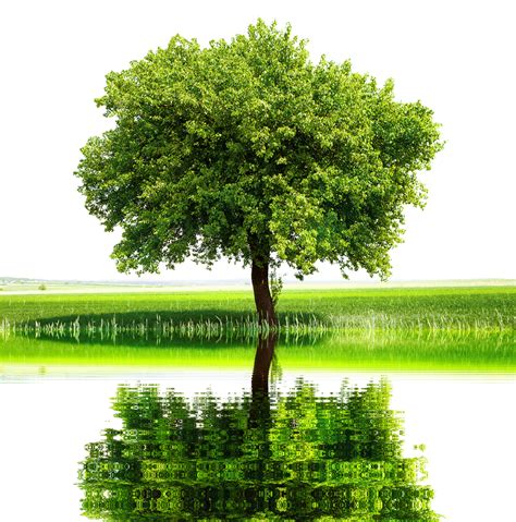 eco space pdp site