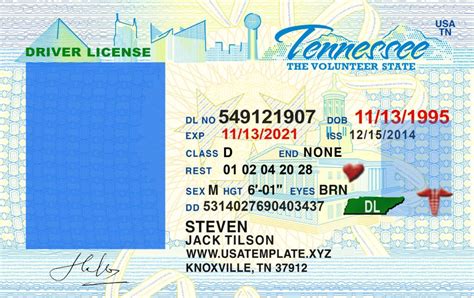 Editable Tennessee Fake Id Template