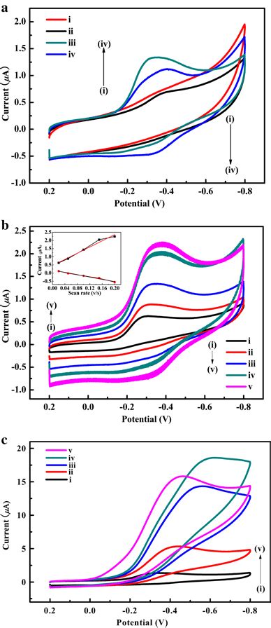 Cyclic Voltammograms Obtained For I Bare Gce Ii Nafion Modified Download Scientific