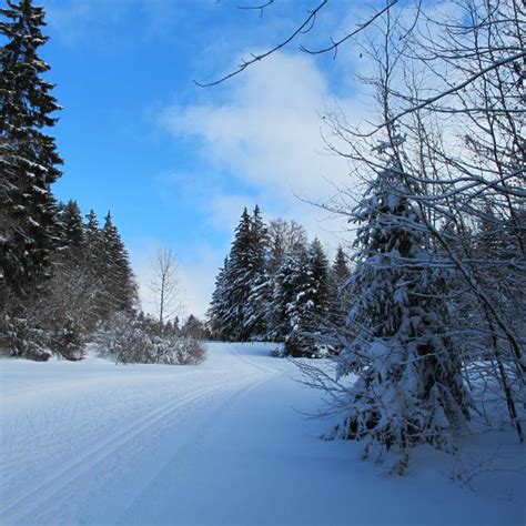 Nordic Sport Col Du Mollendruz Myvaud