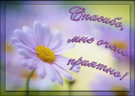 Спасибо За Поздравления Картинки – Telegraph