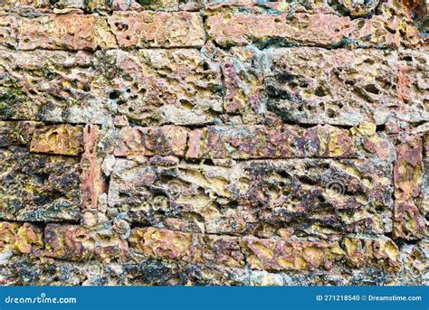 texture   wall  shell material stock photo image