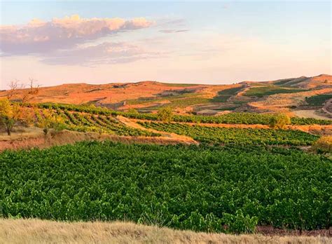 10 Incredible Things To Do In La Rioja Spain And Visiting Guide Packing