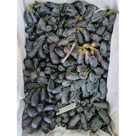 Jual SWEET SAPHIRE ANGGUR JARI TANPA BIJI 1kg Indonesia Shopee Indonesia