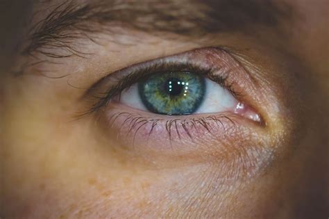 Are Green Eyes Rare What Does It Mean To Have Green Eyes | thecoolistsz