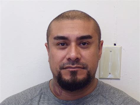 Lyon County Sheriffs Office Arrests Non Compliant Tier Sex Offender In Fernley Carson Now