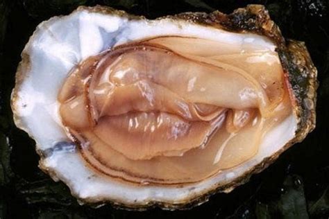 Facts About The Clitoris That Help Women Have Better Sex Yourtango