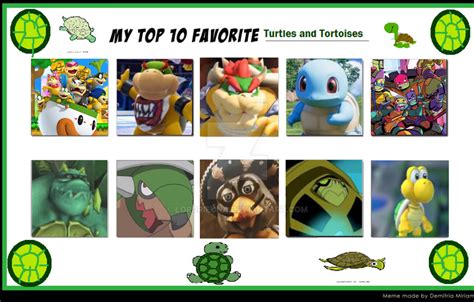 My Top 10 Favorite Turtle Characters By Lopdrieuna On Deviantart