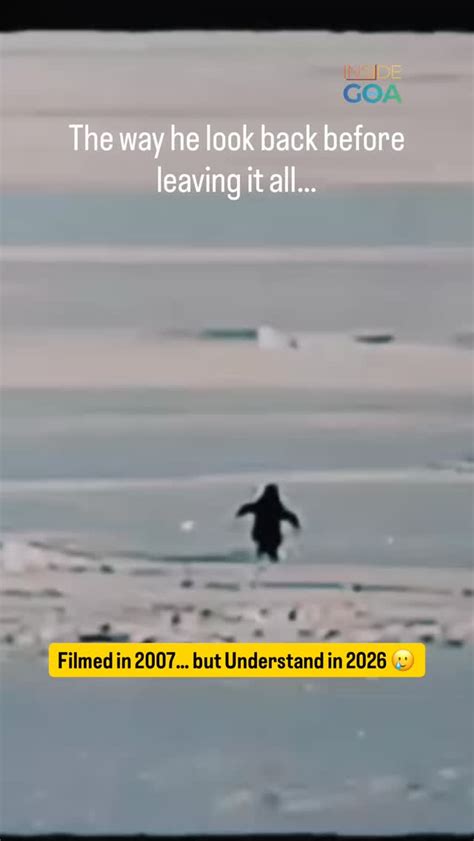 penguin viral tiktok