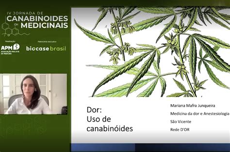 Uso De Canabinoides Medicinais Tema De Encontro Na Apm Apm