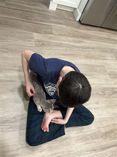 Keeping Up with the Shields