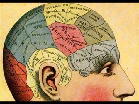 Sex Lies Neuroscience Youtube