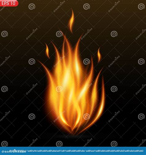 Llamas De Fuego Aisladas En Fondo Transparente Ilustración del Vector