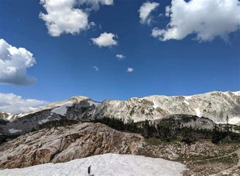 How A Sex Trafficking Survivor Finds Healing In The Wild Whoa Mag