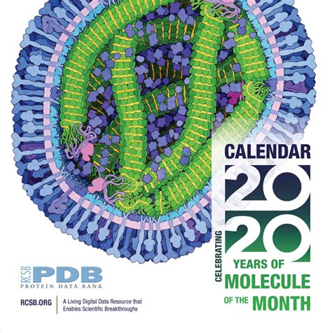 Pdb Molecule Of The Month Newsletter