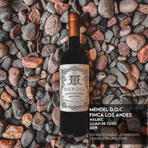 Mendel Finca Remota D O C Comprar En The Rich Wines