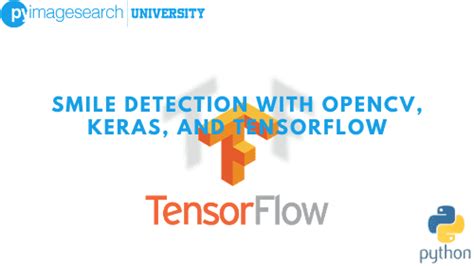 3 Ways To Create A Keras Model With Tensorflow 20 Sequential Functional And Model