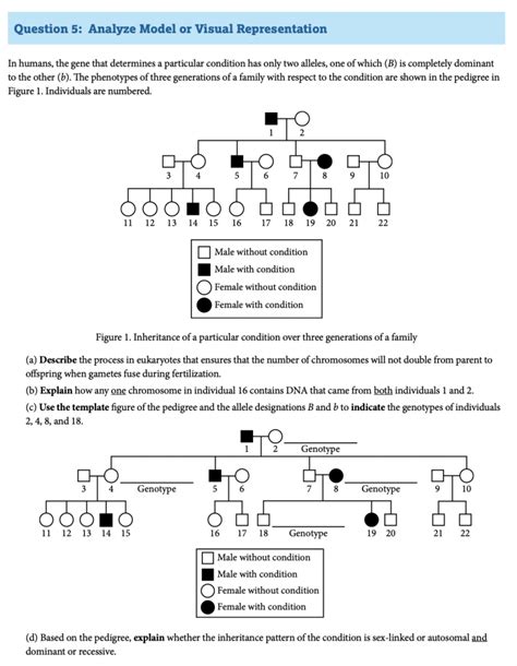 Ap Bio 2024 Frq Answers 2002 Ap Biology Free Response Questi