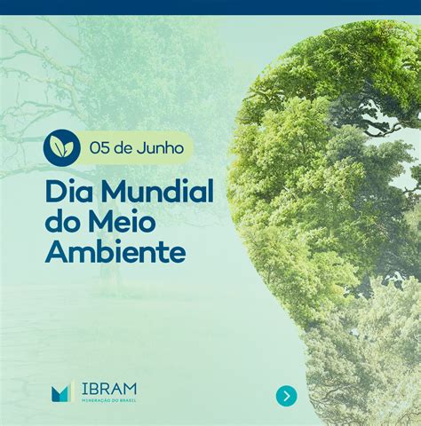 Dia Mundial Do Meio Ambiente A Mineração Brasileira E A Agenda Esg Ibram