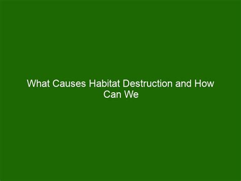 What Causes Habitat Destruction and How Can We Prevent It? - Health And ...