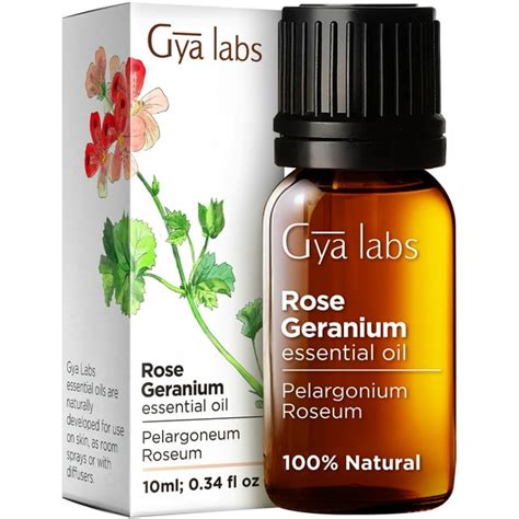 Gya Labs Rose Geranium Essential Oil for Skin - Natural Geranium Oil for Diffuser - Rose ...