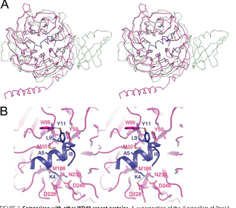 Figure From Crystal Structure Of Yeast Rpn A Chaperone Of The S