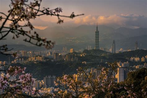 Best Places To See Cherry Blossoms In Taiwan