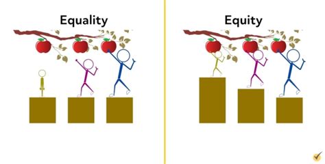 Understanding Equality Vs Equity Crucial Distinctions Video