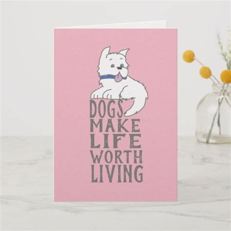 New Dog Congratulations Greeting Card Dog Greeting Cards