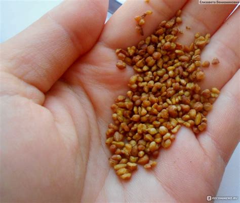 Чаеподобные напитки Vintage Гречишный чай - «Удивительный и полезный ...