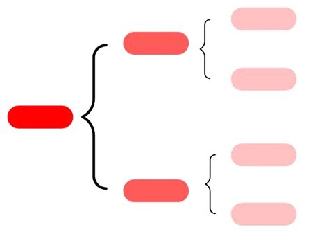 Los Cuadros Sinópticos Vocabulario Sinónimos Y Antónimos Lengua Y