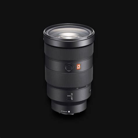 Sony FE 24-70mm F2.8 GM - Yellow Cactus