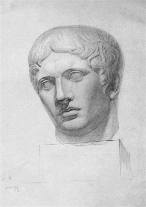 Рисунок гипсовой головы Дорифора | Портретный рисунок, Наброски, Рисунок